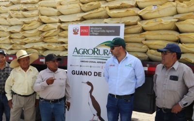 ENTREGA DE 60 TONELADAS DE GUANO DE ISLA A AGRICULTORES DE MAJES POR AGRO RURAL