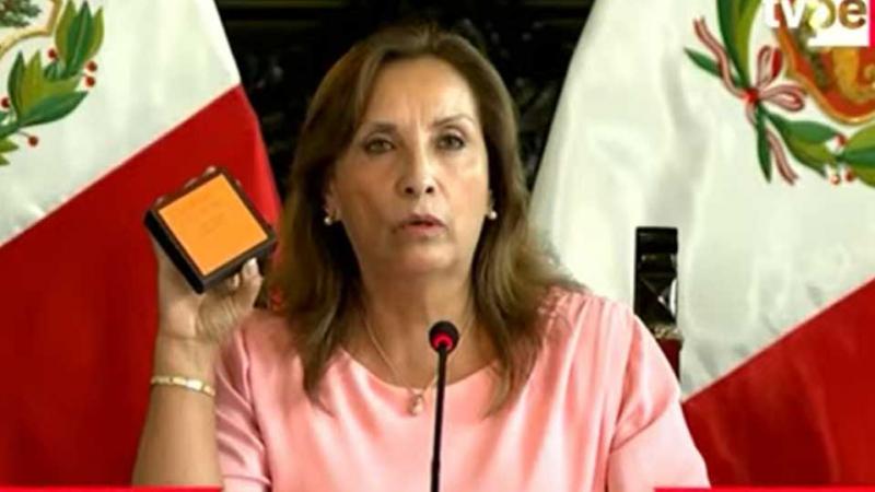 Dina Boluarte confesó delito según especialistas jurídicos