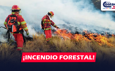 AREQUIPA: SE HAN REGISTRADO 47 INCENDIOS FORESTALES EN LO QUE VA DEL 2024 Y MÁS DE 2 MIL HECTÁREAS AFECTADAS