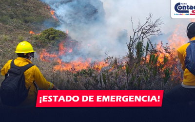 NACIONAL: PRESIDENTA DINA BOLUARTE DECLARA EN ESTADO DE EMERGENCIA TRAS GRANDES INCENDIOS FORESTALES