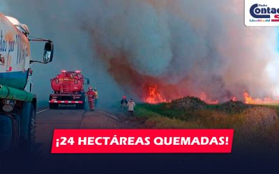 AREQUIPA: FUERTE INCENDIO EN ISLAY ACABA CON 24 HECTÁREAS DEL SANTUARIO LAGUNAS DE MEJÍA