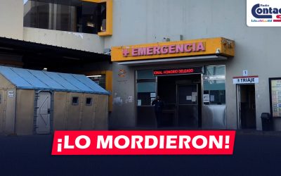 AREQUIPA: JOVEN ES MORDIDO POR DELINCUENTES PARA ROBARLE SUS PERTENENCIAS EN SOCABAYA