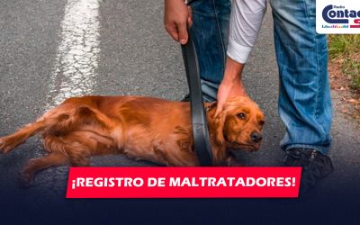 NACIONAL: PROPONEN CREAR REGISTRO NACIONAL DE MALTRATADORES DE ANIMALES PARA EVITAR QUE TENGAN O ADOPTEN MASCOTAS