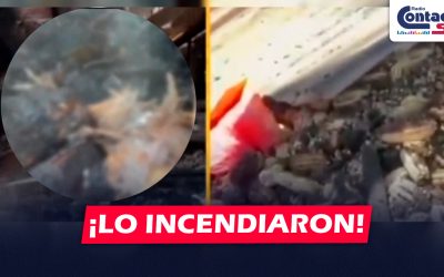 NACIONAL: DELINCUENTES INCENDIAN GRANJA DE AGRICULTORA EN HUANCAYO TRAS NO CAER EN SU EXTORSIÓN