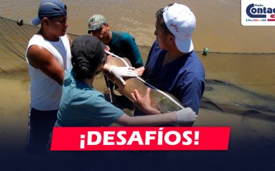NACIONAL: CINCO DESAFÍOS PÚBLICOS DE INNOVACIÓN BUSCAN RESOLVER PROBLEMAS CRÍTICOS DEL PAÍS CON FINANCIAMIENTO DE HASTA S/ 893 MIL