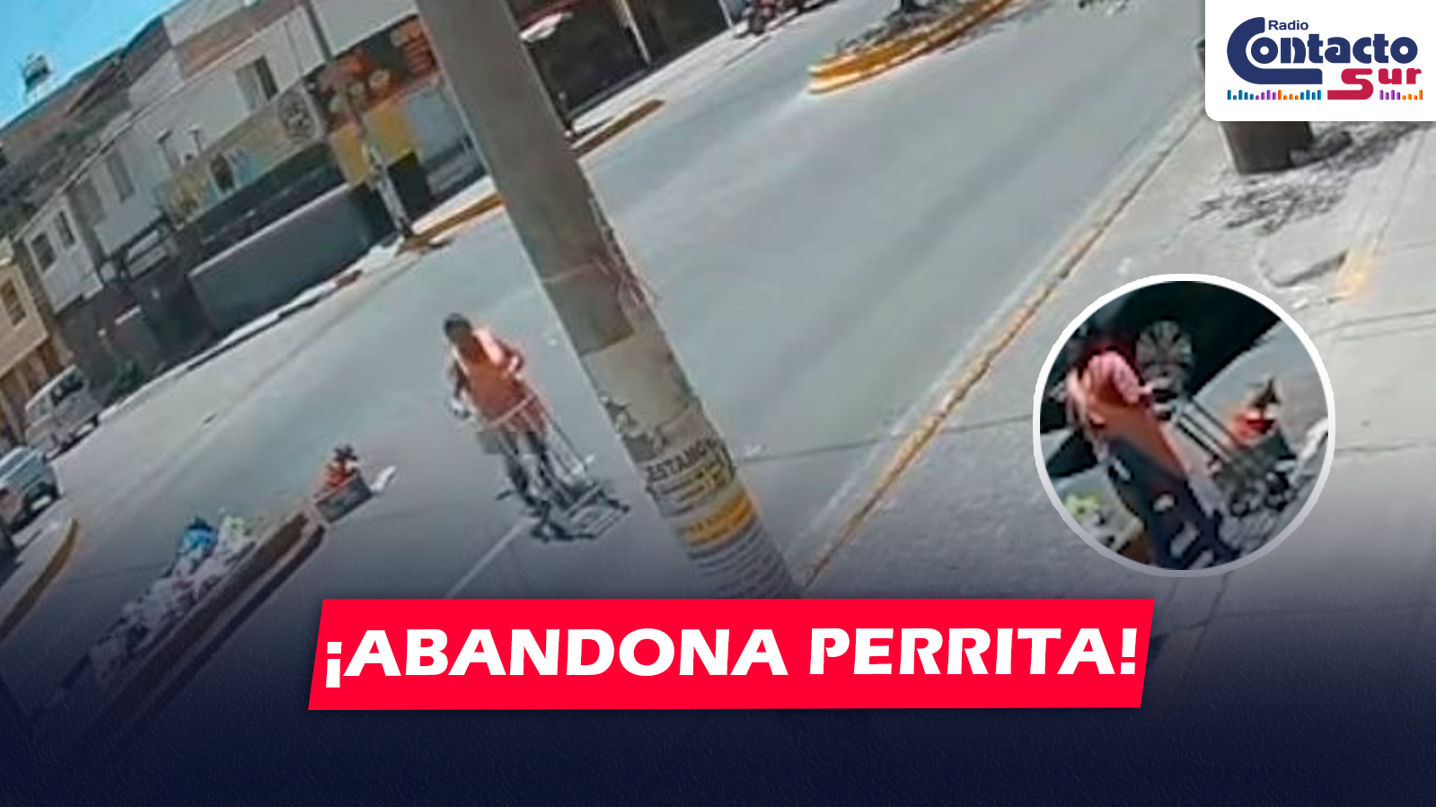 AREQUIPA: VENDEDORA ABANDONA A PERRITA EN GRAVE ESTADO EN UN PUNTO DE BASURA DEL MERCADO LAS CONVENCIONES