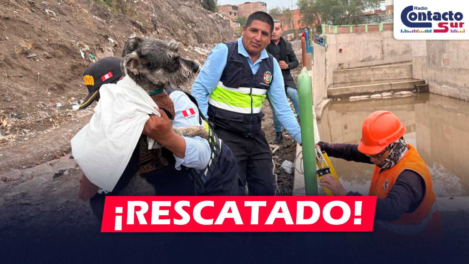 AREQUIPA: SERENAZGO DE PAUCARPATA RESCATA A PERRO ATRAPADO TRAS INTENSAS LLUVIAS EN VILLA BELÉN