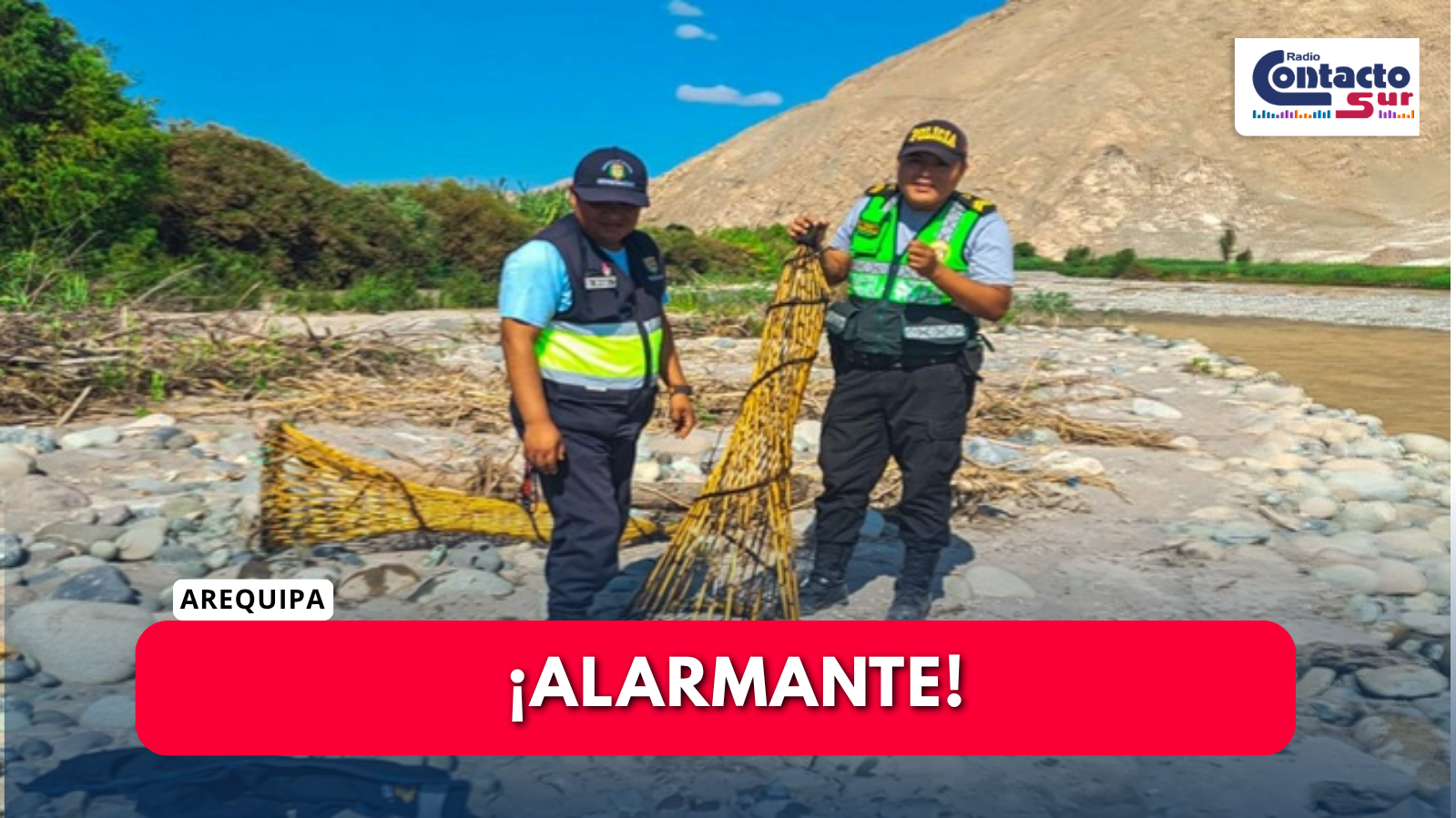 ELIMINAN 150 ISANGAS ILEGALES DURANTE OPERATIVO EN EL RÍO TAMBO