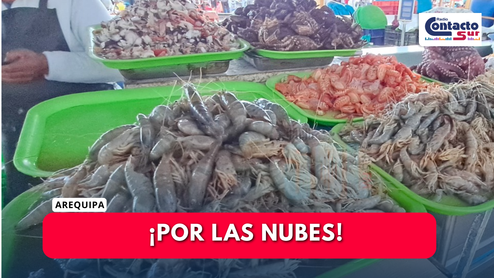 PRECIO DEL CAMARÓN LLEGA HASTA S/120 EN TERMINAL PESQUERO DE RÍO SECO