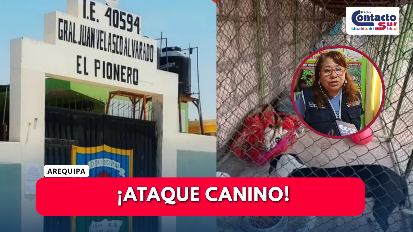 CAN MORDIÓ A 15 ESCOLARES EN INSTITUCIÓN EDUCATIVA JUAN VELASCO ALVARADO EN  MAJES