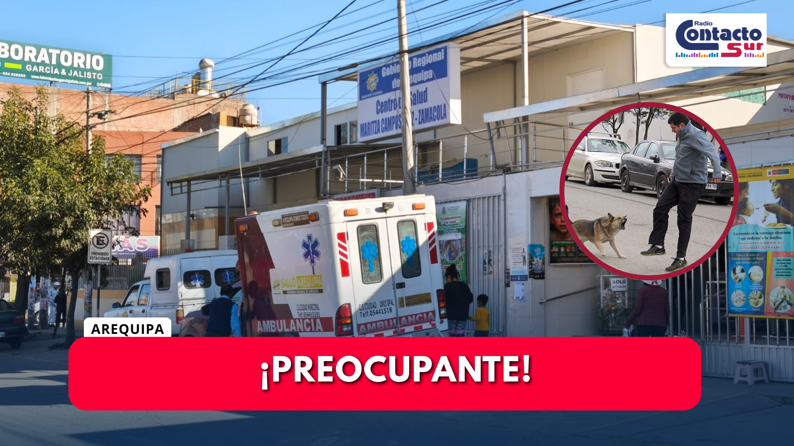 CONO NORTE: DOS ATAQUES DE PERROS EN MENOS DE 12 HORAS DEJAN HERIDOS EN YURA Y CERRO COLORADO 