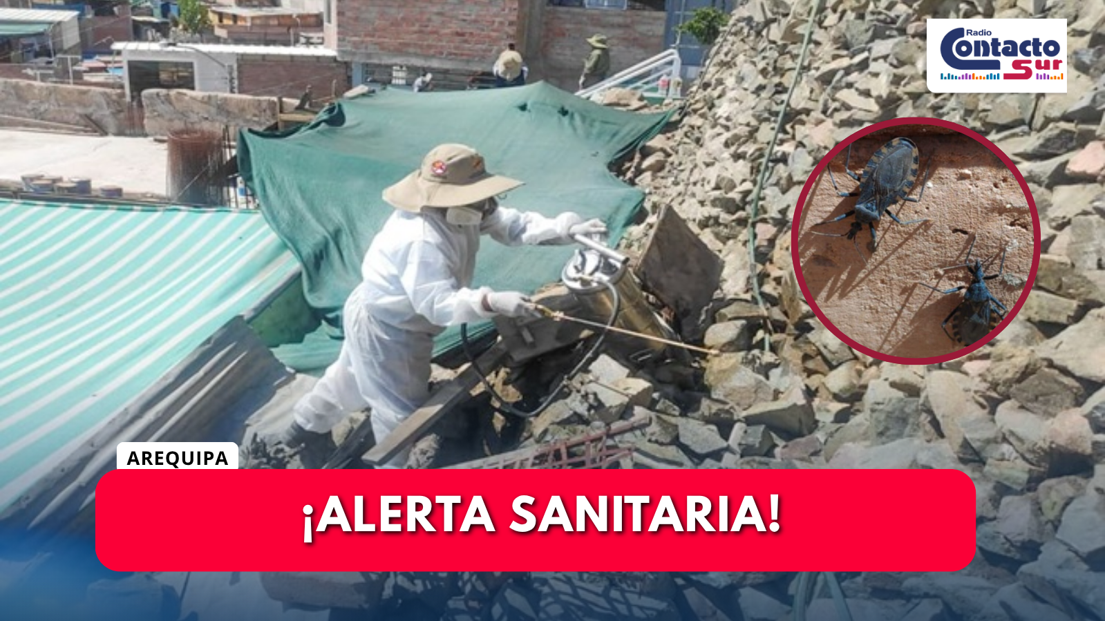 PRESENCIA DE CHIRIMACHAS EN VIVIENDAS DEL DISTRITO DE TIABAYA 