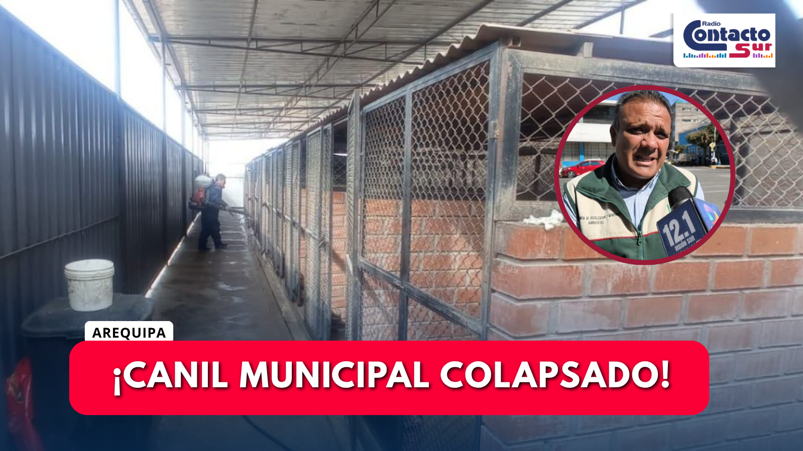 CANIL MUNICIPAL DE CERRO COLORADO SUPERA CAPACIDAD MÁXIMA 