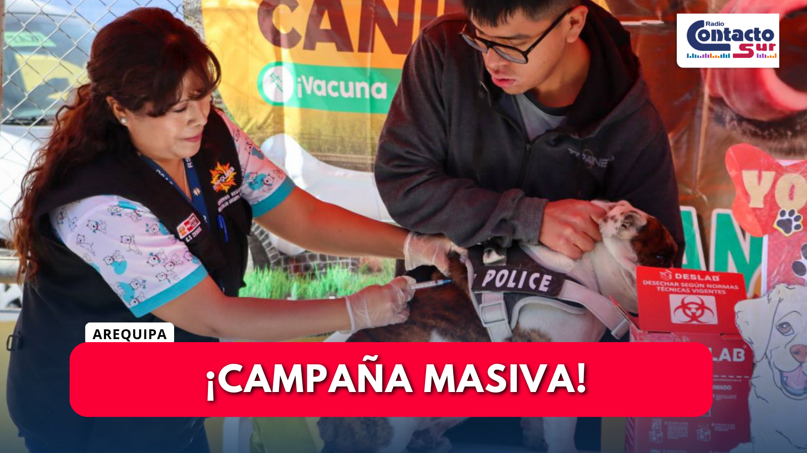 INTENSIFICAN JORNADAS DE VACUNACIÓN ANTIRRÁBICA EN AREQUIPA 